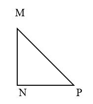 Hình tam giác là gì? Để phân loại? Các tính chất của hình tam giác là gì?
