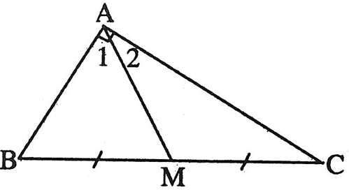 Tam giác vuông là gì? Làm thế nào để chứng minh một tam giác vuông?