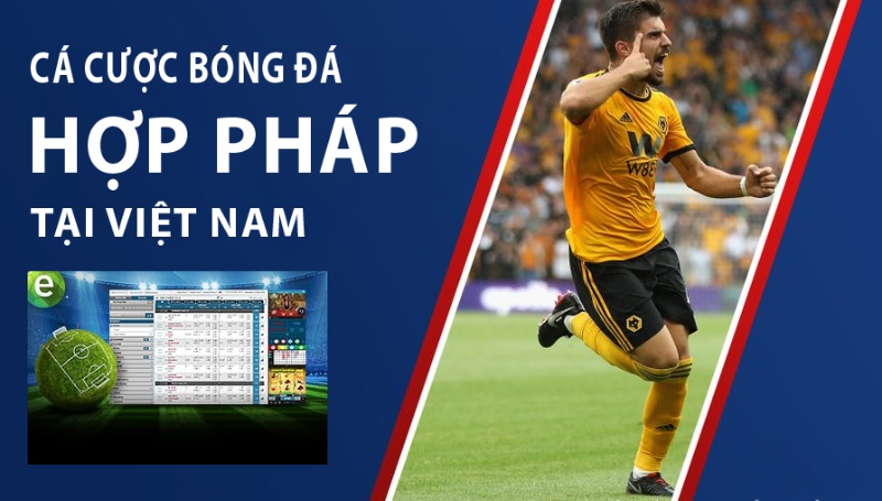Hiểu biết về luật cá độ bóng đá ở Việt Nam hiện nay